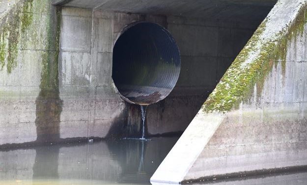 MARGARET SHKIMBA: THE STENCH OF THIS SEWAGE LEAK COVERUP LINGERS OVER HAMILTON COUNCIL