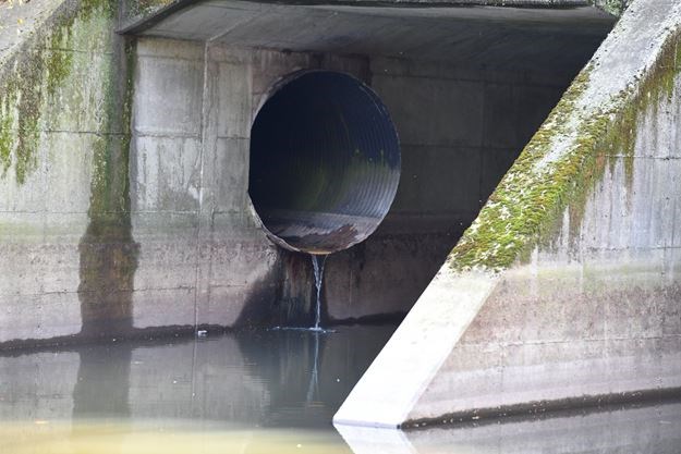 MARGARET SHKIMBA: THE STENCH OF THIS SEWAGE LEAK COVERUP LINGERS OVER HAMILTON COUNCIL