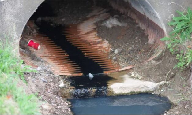 Ontario government investigating month-long Stoney Creek acid leak into Lake Ontario