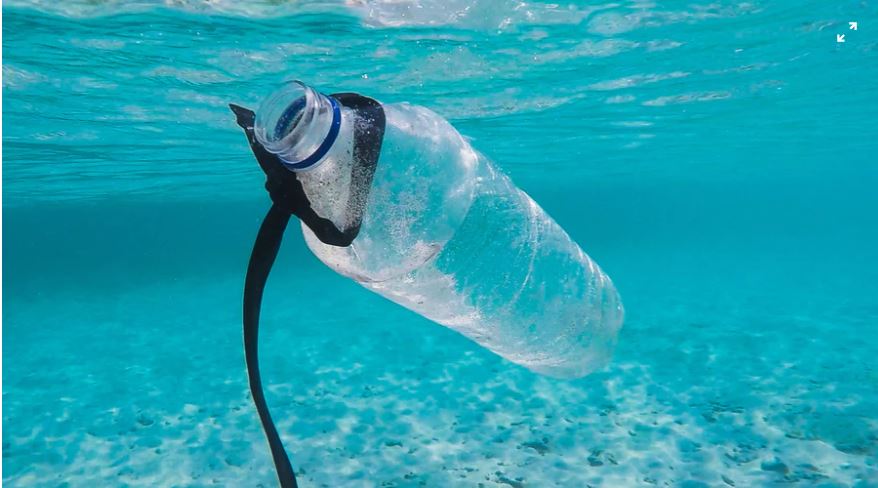 PLASTIC IS A DISASTER – ENDING THE USE OF HARMFUL AND UNNECESSARY SINGLE-USE PLASTICS