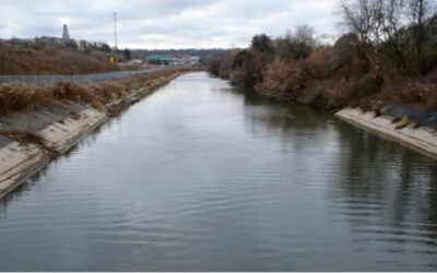 Hamilton City says it will dredge Chedoke Creek following ministry order