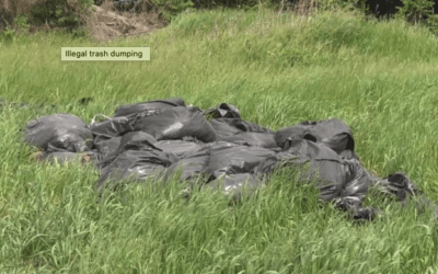 Caught on camera: Trio dumps trash bags on side of road in Essa Township